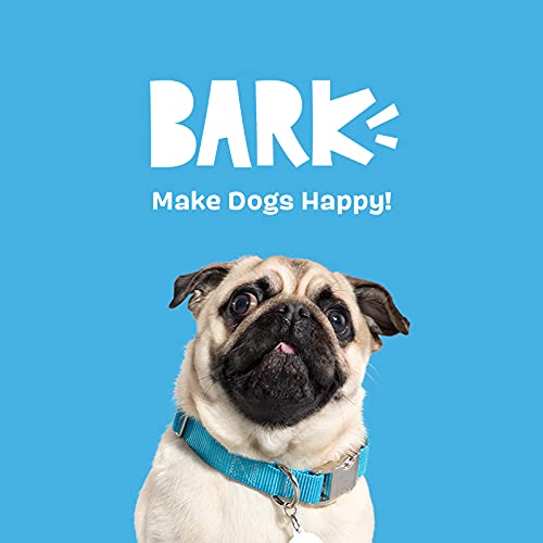 Barkbox Squeaky Dog Toys - Plush and Squeak Chew Toys | Puppy and Pet Toys for Small, Medium, and Large Dogs | Lady Liberty Ball (Medium/Large)