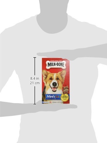 Milk-Bone Mini's Flavor Snacks Dog Treats (Pack of 2)