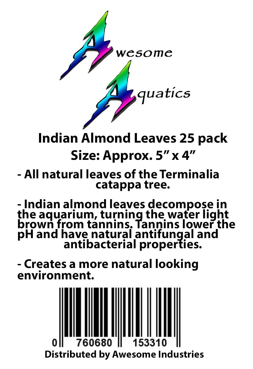 Awesome Aquatic Betta/Shrimp Leaves 25 4"-6" Premium Catappa Indian Almond Leaves Natural Habitat Tannin Producing Improves Immunity, Easy to USE