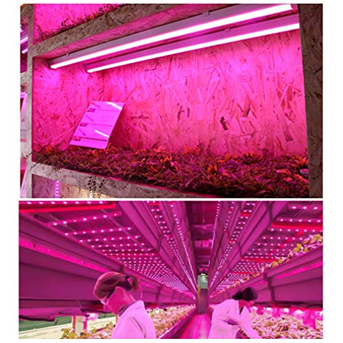 Monios-L [6-Pack] LED Grow Light Strips for Plants 2FT, 60W (6 x 10W) t5 High Output Integrated Fixture Extendable 24 Inches Grow Lights for Greenhouse, Plant Grow Shelf, Easy Installation