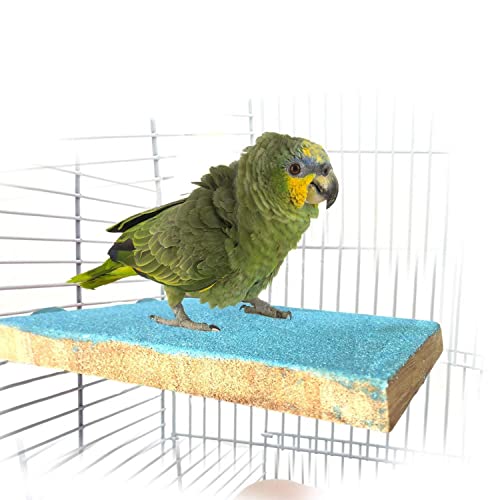 Litewoo Bird Perch Grinding Stand for Bird Parrot Budgie Parakeet Cockatiel Conure Lovebird Finch（5.1" x 3.5"）