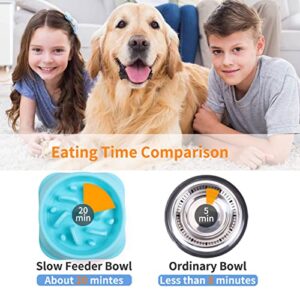 NOYAL Slow Feeder Dog Bowls Puzzle Anti-Gulping Interactive Bloat Durable Preventing Choking Healthy Dogs Bowl