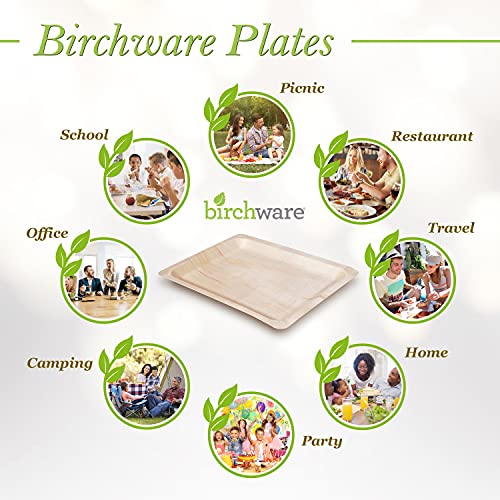 Birchware 50 - Large Compostable Wooden Platter, Party and Craft Supplies