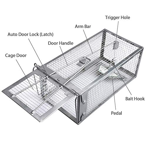 Gingbau Live Chipmunk Trap Humane Rat Mouse Cage Trap