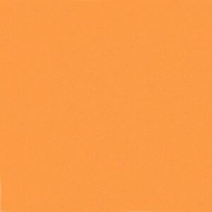 Pumpkin Orange Cardstock - 8.5 x 11 inch - 65Lb Cover - 50 Sheets - Clear Path Paper