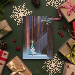 Christmas Tree in The Forest Holiday Card - 18 Christmas Cards & Envelopes -USA Made- Winter Holiday Forest (Standard)