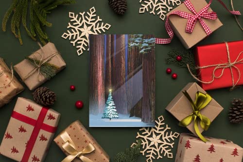 Christmas Tree in The Forest Holiday Card - 18 Christmas Cards & Envelopes -USA Made- Winter Holiday Forest (Standard)