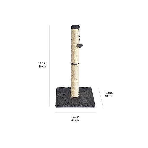 Amazon Basics Cat Scratching Post, Medium, 15.75" x 15.75" x 31.5"H, Grey