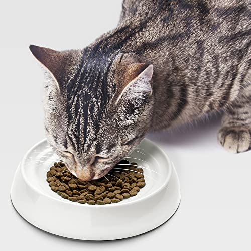 CatGuru Cat Bowls, Whisker Stress Free Food Bowl, Reliefs Fatigue, Wide Non Slip Shallow Dish, Feeding & Watering Supplies (Set of 2, Marshmallow)