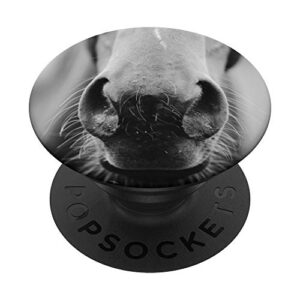 horse popsockets popgrip: swappable grip for phones & tablets