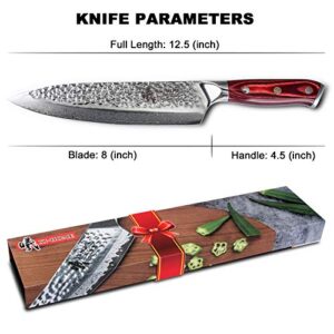 Hammered Damascus Chef Knife, 8" Pakka Wood Handle 67-layer Full Tang Damascus Kitchen Knife with Professional Japanese VG10 Super Steel Core
