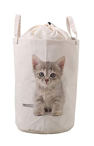 LifeCustomize Laundry Hamper Basket Small Gray Kitten Cat Print Folding Nursery Clothing Storage Bins with Handles