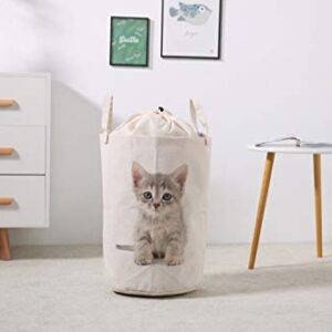 LifeCustomize Laundry Hamper Basket Small Gray Kitten Cat Print Folding Nursery Clothing Storage Bins with Handles