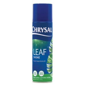 chrysal leaf shine spray for indoor plants – flower arrangement spray for flower bouquets, house plants, & more – environmentally safe plant cleaner removes dust – flower & gardening supplies 5.6 oz