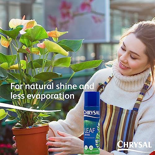 Chrysal Leaf Shine Spray for Indoor Plants – Flower Arrangement Spray for Flower Bouquets, House Plants, & More – Environmentally Safe Plant Cleaner Removes Dust – Flower & Gardening Supplies 5.6 Oz