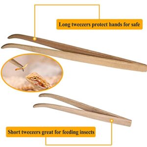 ASOCEA Reptile Bamboo Tweezers Lizard Feeder Tongs Feeding Tools for Bearded Dragons Lguanas Lizards Turtles Geckos Corals(Pack of 2)