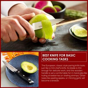 Saken Chef Knife and Paring Knife Set - 2-piece Professional Kitchen Knife Set with Ultra-Sharp, High-Carbon German Steel Blade and Ergonomic Wooden Handles - 8" Chef Knife, 3.5" Paring Knife