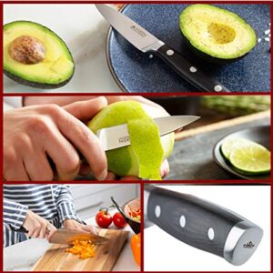 Saken Chef Knife and Paring Knife Set - 2-piece Professional Kitchen Knife Set with Ultra-Sharp, High-Carbon German Steel Blade and Ergonomic Wooden Handles - 8" Chef Knife, 3.5" Paring Knife