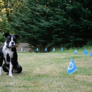 Educator FLAGS-50 Boundary Flags for E-Fence Underground Fence Containment System for Dogs, (Set of 50)