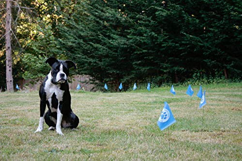 Educator FLAGS-50 Boundary Flags for E-Fence Underground Fence Containment System for Dogs, (Set of 50)