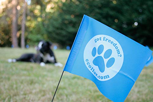 Educator FLAGS-50 Boundary Flags for E-Fence Underground Fence Containment System for Dogs, (Set of 50)