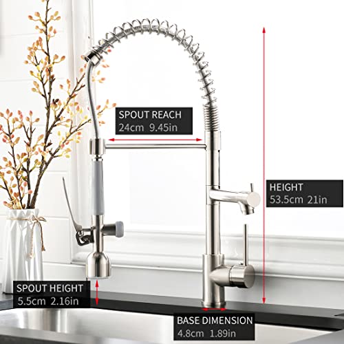 Fapully Commercial Single Handle Pull Down Sprayer Brushed Nickel Kitchen Faucet, Kitchen Sink Faucet with LED Light