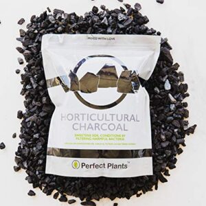 Horticultural Charcoal by Perfect Plants - 24oz. Plant Charcoal - Naturally Cleanses, Flushes Toxins and Excess Moisture from Containers and Terrariums