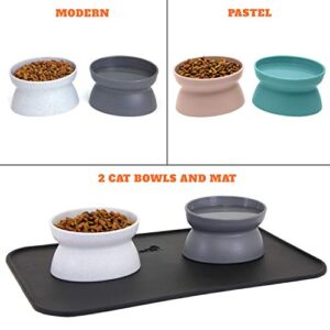 Kitty City Raised Cat Food Bowl Collection_Stress Free Pet Feeder and Waterer