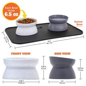 Kitty City Raised Cat Food Bowl Collection_Stress Free Pet Feeder and Waterer