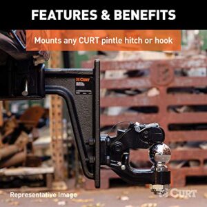 CURT 48348 Adjustable Pintle Mount for 2-1/2-Inch Hitch Receiver, 20,000 lbs, 7-1/4-Inch Height, 10-3/4-Inch Length