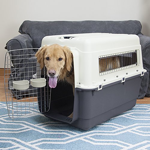 SportPet Designs Plastic Kennels Rolling Plastic Airline Approved Wire Door Travel Dog Crate, X-Large, Gray