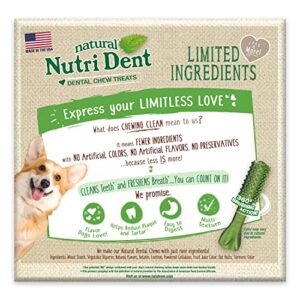 Nylabone Nutri Dent Natural Dental Fresh Breath Flavored Chew Treats Small - Up to 15 Ibs. 64 Count