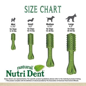 Nylabone Nutri Dent Natural Dental Fresh Breath Flavored Chew Treats Small - Up to 15 Ibs. 64 Count