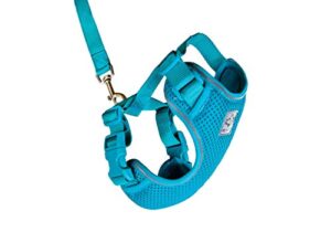 rc pet products adventure kitty harness, cat walking harness, medium, teal (53804015)