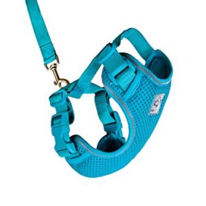 RC Pet Products Adventure Kitty Harness, Cat Walking Harness, Medium, Teal (53804015)