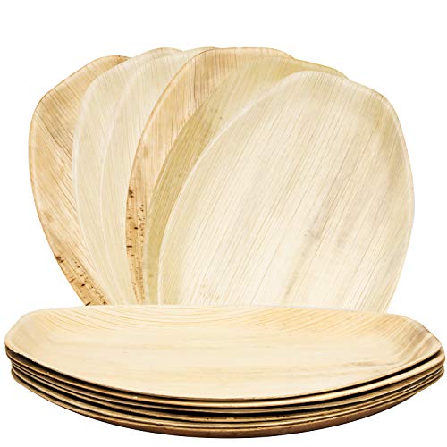 Upper Midland Products 6 Palm Leaf Disposable Platters, Biodegradable Eco Friendly Bamboo Wood Like Oval Serving Trays 15 x 10 Inches Paper and Plastic Alternative