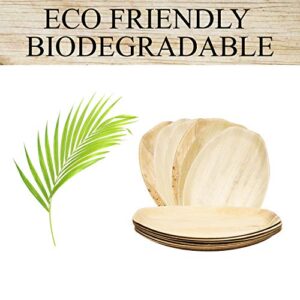 Upper Midland Products 6 Palm Leaf Disposable Platters, Biodegradable Eco Friendly Bamboo Wood Like Oval Serving Trays 15 x 10 Inches Paper and Plastic Alternative