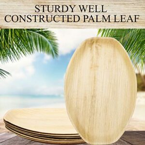 Upper Midland Products 6 Palm Leaf Disposable Platters, Biodegradable Eco Friendly Bamboo Wood Like Oval Serving Trays 15 x 10 Inches Paper and Plastic Alternative