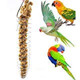 bird foraging toy parrot fruit vegetable holder feeder for parakeet cockatiel conure african grey cockatoo macaw amazon lovebird finch canary rat chinchilla guinea pig cage food basket tool (metal)