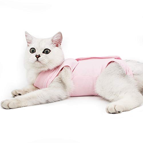 Cat Professional Recovery Suit for Abdominal Wounds or Skin Diseases, E-Collar Alternative for Cats and Dogs, After Surgery Wear, Home Clothing (M, Pink)