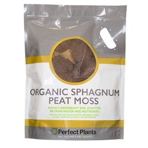 organic sphagnum peat moss by perfect plants - absorbs essential nutrients when added to soil and enriches plant roots - indoor and outdoor use (8qts.)