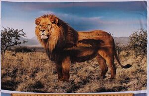 27.25" x 44" panel realistic lion african animals wildlife savannah landscape scenic nature africa wild kingdom digital print cotton fabric panel (q4494-lion-259)