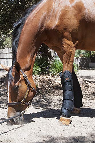 ECP Equine Comfort Products Far Infrared Heat Therapy Horse Front Leg Wraps - Large