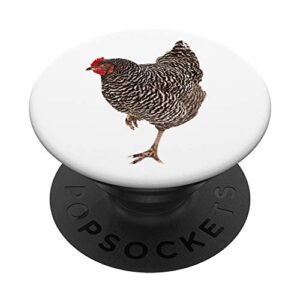 barred rock chicken popsockets popgrip: swappable grip for phones & tablets