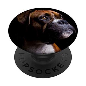 boxer dog popsockets popgrip: swappable grip for phones & tablets