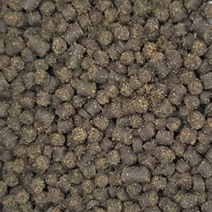 Invert Aquatics Soft Pellets for Axolotls - Moist Sinking Diet for Axolotl, Newts, Salamanders & Other Small Amphibians (9 oz (255g))