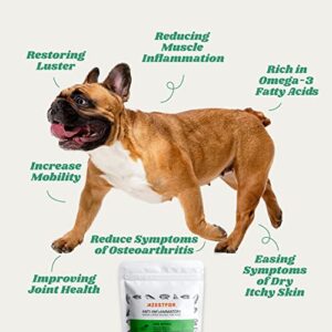 Azestfor Anti-Inflammatory Green Lipped Mussel for Dogs Powder