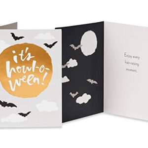 American Greetings Mini Halloween Cards Bundle, Halloween, Spider, Hey Boo (4-Count)