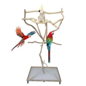 exoticdad parrot stand - reptile birds perches for parrots - wood perches stand for parrot - uniquely sanded ,custom made designed for parrots, cockatoo, parakeets- 2ft x 3ft base and 5.5-6ft height