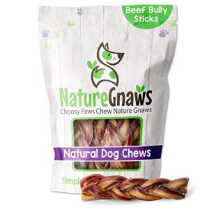 nature gnaws braided bully sticks for dogs - premium natural beef bones - long lasting dog chew treats for small and medium breeds - rawhide free - 6 inch (3 count)